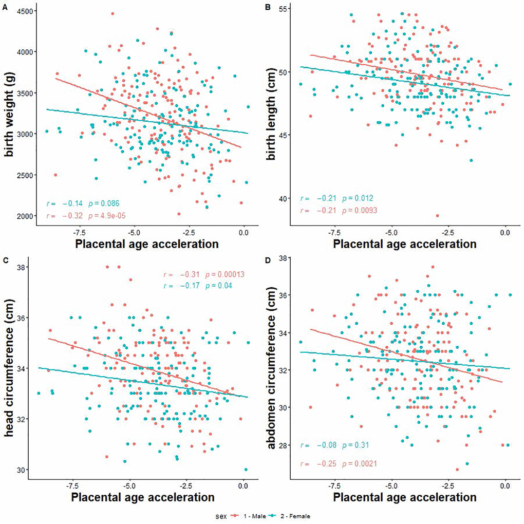 Correlation between placental epigenetic age acceleration and neonatal anthropometry measures. (A) Birth weight. (B) Birth length. (C) Head circumference. (D) Abdominal circumference.