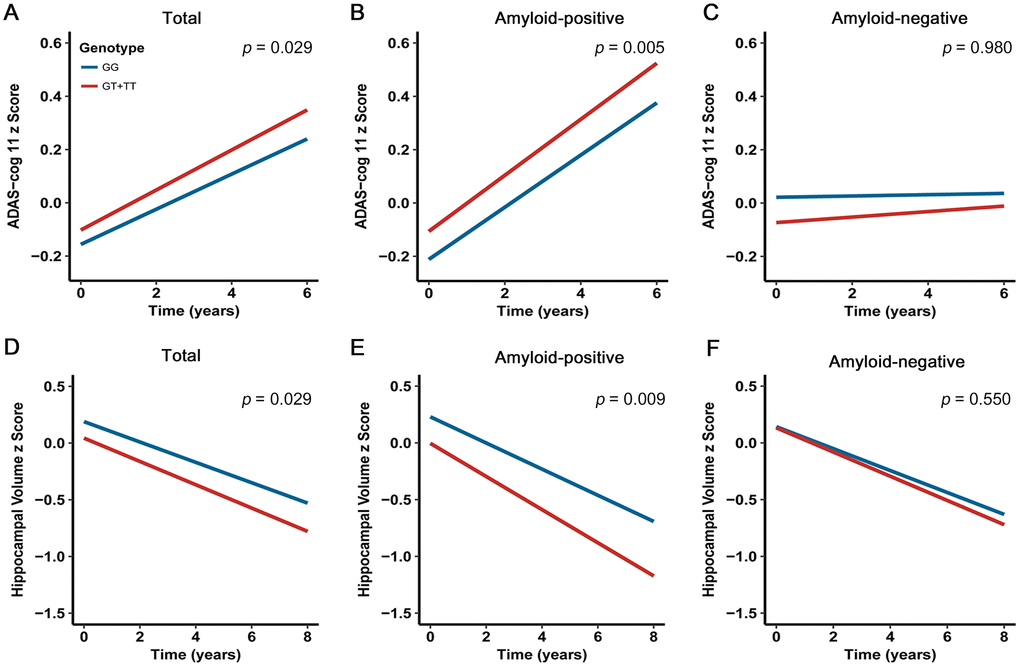 Effects of CBFA2T3 rs13333659-T on cognitive performance and hippocampal volume over time. Data from linear mixed-effects models adjusted for age, gender, educational level, APOE ε4 genotype, disease status, follow-up duration, as well as intracranial volume for hippocampal volume. ADAS-cog 11 indicates Alzheimer Disease Assessment Scale-cognitive subscale.