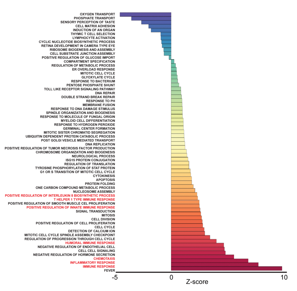 Frailty-associated biological pathways in blacks. Differentially expressed genes between non-frail and frail blacks were imputed into Parametric Analysis of Gene Set Enrichment (PAGE) analysis. Significantly changed gene sets associated with biological processes, organized by Z-score, are shown here. GO terms associated with inflammation and immune response are highlighted in red.