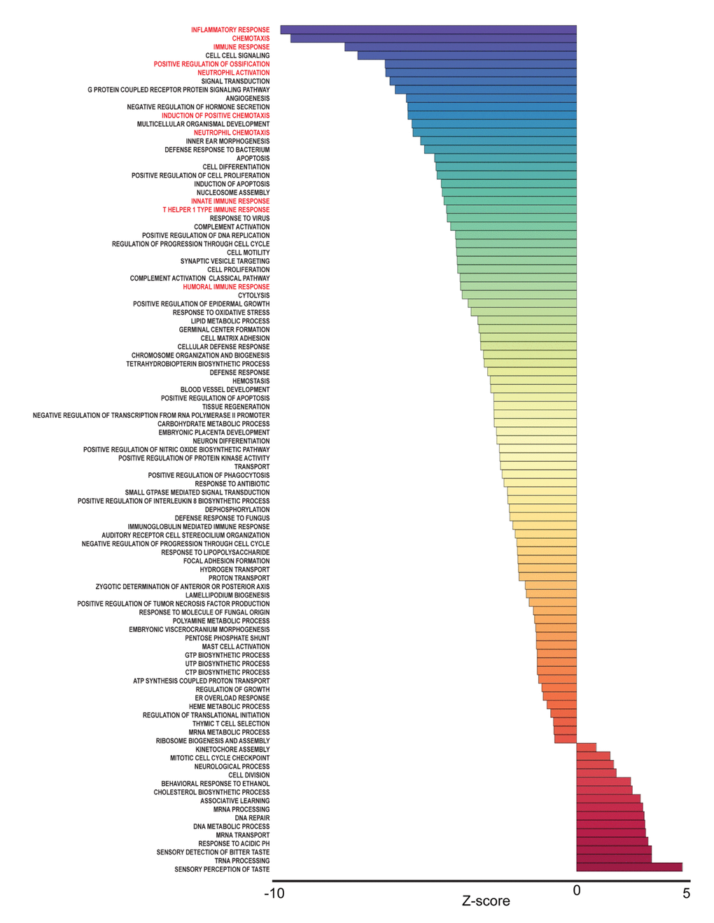 Frailty-associated biological pathways in whites. Differentially expressed genes between non-frail and frail whites were imputed into Parametric Analysis of Gene Set Enrichment (PAGE) analysis. Significantly changed gene sets, associated with biological processes, organized by Z-score, are shown here. GO terms associated with inflammation and immune response are highlighted in red.