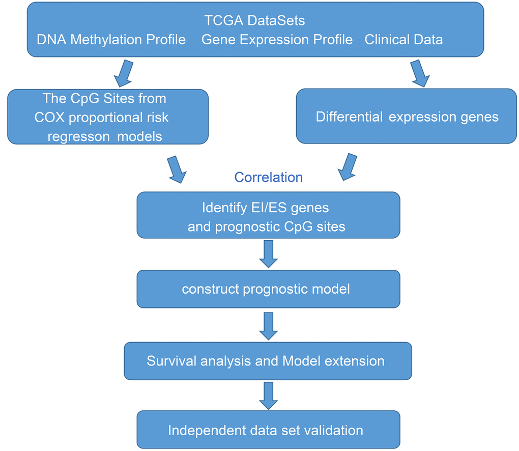 The workflow of the present study.