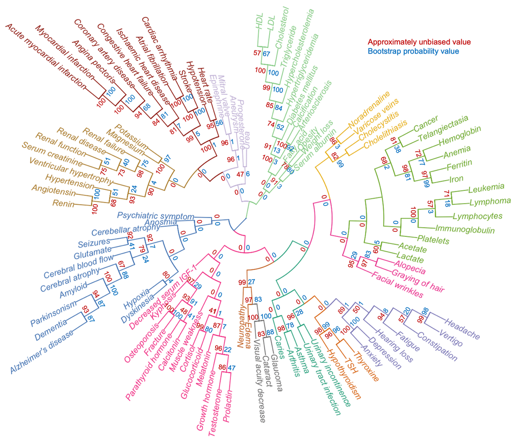 A defined aging phenome shows functional clustering. Agglomerative hierarchical clustering of 105 clinical terms describing human aging based on z-score normalized representation in the literature. Colors represent different clusters. The approximately unbiased value is shown in red while the bootstrap probability value is shown in blue.