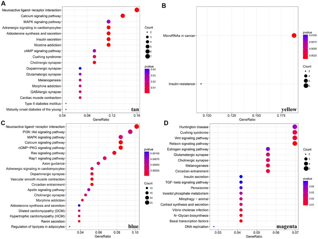 KEGG pathway enrichment analyses for genes existing in these four modules (tan, yellow, blue, magenta). (A–D) KEGG pathway enrichment analyses for significant pathways in modules, including tan, yellow, blue, magenta. KEGG: kyoto encyclopedia of genes and genomes