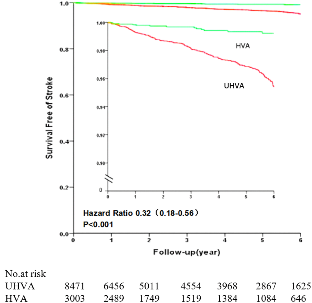 Comparison of stroke-free survival between the HVA and Non-HVA groups. The inset shows the same data on an enlarged segment of the y-axis. Abbreviations: HVA: healthy vascular aging.