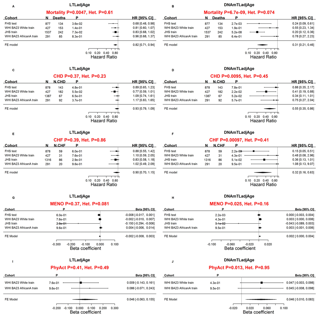 Comparing measured LTL with DNAmTL with respect to age-related conditions. Meta-analysis forest plots for relating age-related conditions (rows) to age-adjusted LTL (left panels) and age-adjusted DNAmTL (right panels). Panels in the first row (A, B) presents meta-analysis forest plots for Cox regression models of time-to-death. Meta-analysis of Cox regression models for (C, D) time-to-coronary heart disease (CHD) and (E, F) time-to-congestive heart failure (CHF). Rows in the forest plot correspond to training and test datasets (used for developing DNAmTL) stratified by race/ethnicity Each row presents the summary statistic at a (stratified) study da.taset and reports sample size (N), number of events, P value, hazard ratio and a 95% confidence interval resulting from a Cox regression model. (G, H) Meta-analysis for the association with age at menopause. (I, J) Meta-analysis for the association with self-reported physical activity status (yes/no). (G-J) Each row (study data set) presents the summary statistic, P value, beta coefficient and a 95% confidence interval resulting from a linear (mixed) regression model. In general, an insignificant Cochran Q test p-value (denoted by Het. P) is desirable because it suggests that results do not differ significantly across the strata. However, an insignificant Q test p-value could also reflect lack of statistical power.