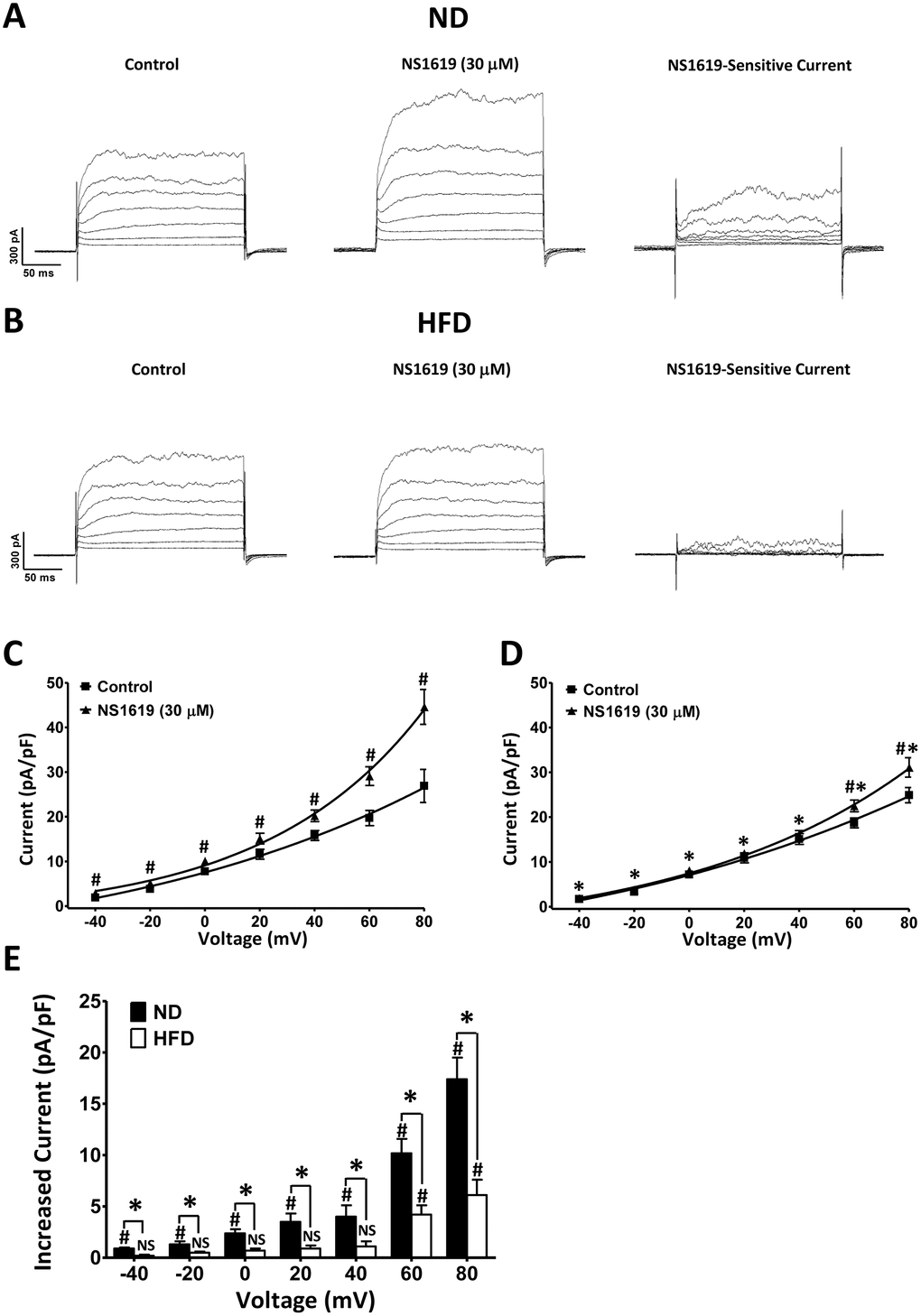 NS1619-sensitive whole-cell BK currents are significantly lower in HFD DSM cells than in ND DSM cells. Original recording illustrating the activating effect of 30 μM NS1619 on voltage-dependent whole-cell currents in ND. (A) and HFD (B) DSM cells. Current-voltage relationships illustrate the differences in whole-cell BK current density in the presence and absence of 30 μM NS1619 in ND (C) and HFD (D) DSM cells. (E) Summary data illustrating that 30 μM NS1619 had a significantly lower effect on whole-cell BK currents in HFD DSM cells than in ND DSM cells. Data are expressed as the mean ± SEM; n = 12, N = 7 in the ND group, n = 12, N = 8 in the HFD group; * P NS: not significant.