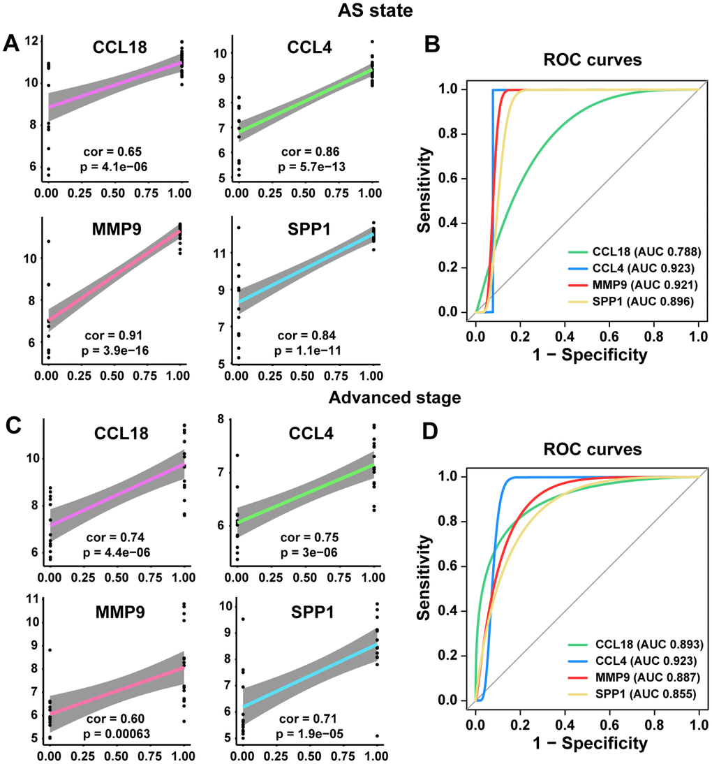 Linear regression analyses and ROC curve in training and poor prognosis sets. (A, C) The correlations of the expression of the 4 hub genes with AS state and advanced stage by linear regression analysis. (B, D) ROC curves of the 4 common hub genes for diagnosing the AS state or the advanced stage. According to one arbitrary guideline [31], we distinguished among excellent accuracy (0.9 ≤ AUC 