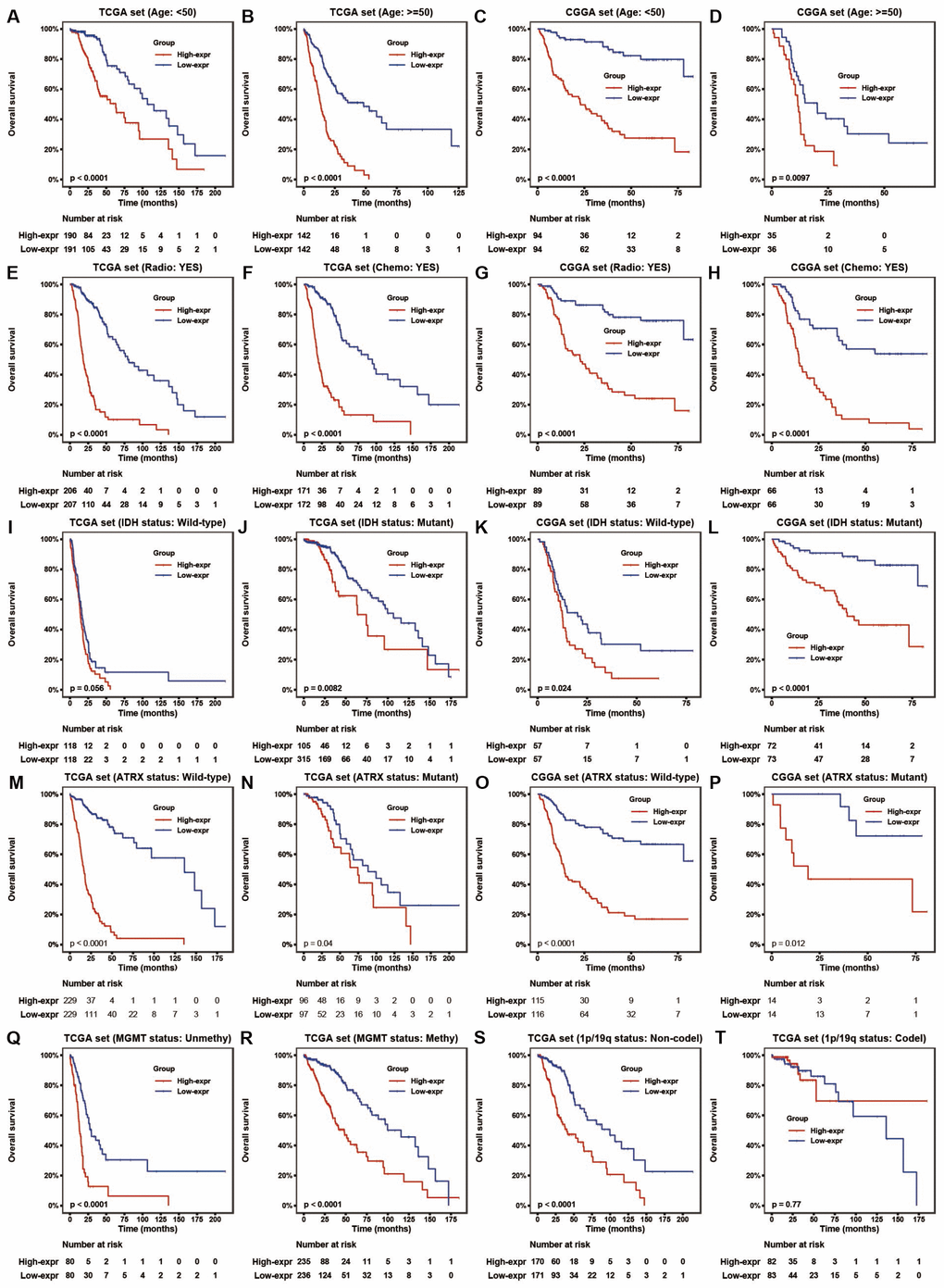 HOTAIRM1 maintains high prognostic value in stratified groups. (A–T) Prognostic value of HOTAIRM1 in TCGA and CGGA cohorts stratified by clinical (A–H) and genomic (I–T) features.