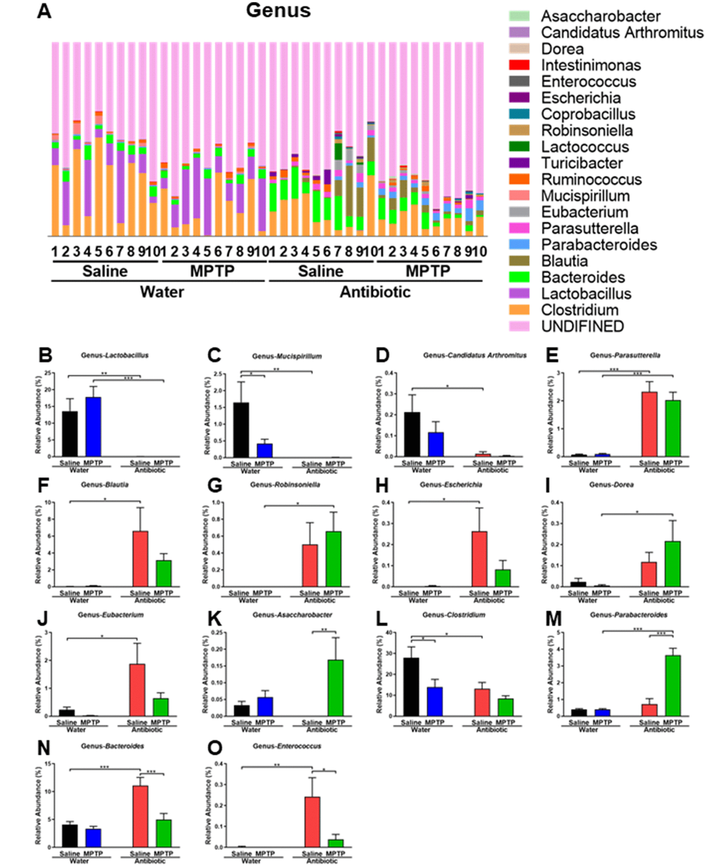 Altered gut bacteria composition at the genus level. (A) Relative abundance at the genus level. (B) Lactobacillus. (C) Mucispirillum. (D) Candidatus Arthromitus. (E) Parasutterella. (F) Blautia. (G) Robinsoniella. (H) Escherichia. (I) Dorea. (J) Eubacterium. (K) Asaccharobacter. (L) Clostridium. (M) Parabacteroides. (N) Bacteroides. (O) Enterococcus. Data are shown as mean ± S.E.M. (n = 10). **P Supplementary Table 2 for detailed statistical analysis.