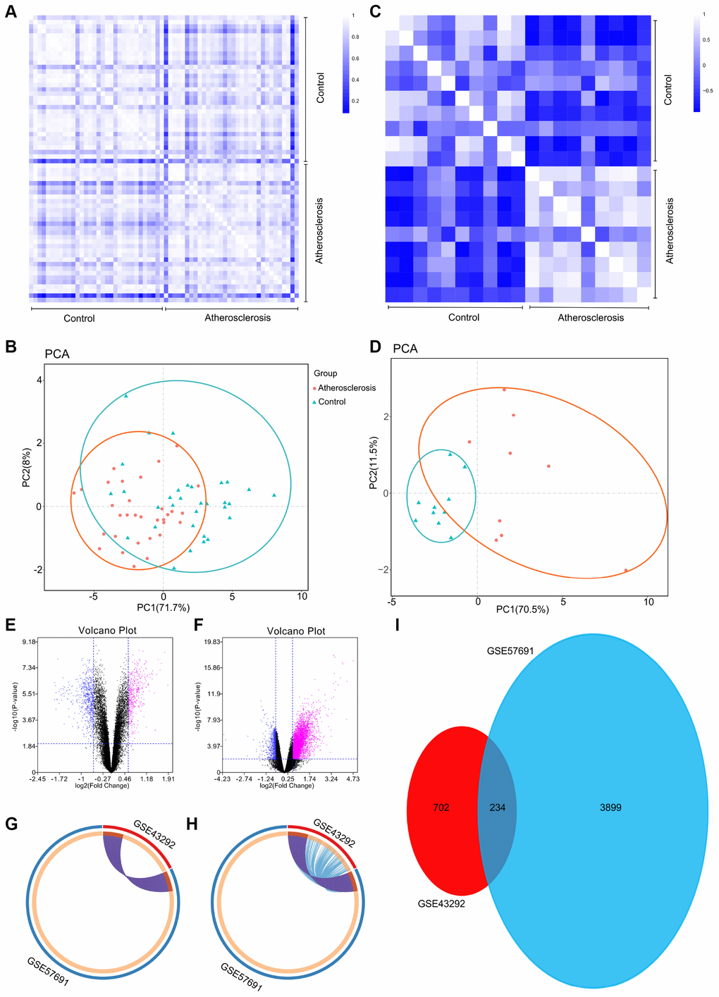 (A) Pearson’s correlation analysis of samples from the GSE43292 dataset. The color reflects the intensity of the correlation. When 0B) PCA of samples from the GSE43292 dataset. In the figure, principal component 1 (PC1) and principal component 2 (PC2) are used as the X-axis and Y-axis, respectively, to draw the scatter diagram, where each point represents a sample. In such a PCA diagram, the farther the two samples are from each other, the greater the difference is between the two samples in gene expression patterns. (C) Pearson’s correlation analysis of samples from the GSE57691 dataset. The color reflects the intensity of the correlation. (D) PCA of samples from the GSE57691 dataset. (E) The volcano plot illustrates the differences between control and atherosclerotic tissues after analysis of the GSE43292 dataset with GEO2R. (F) The volcano plot illustrates the difference between control and atherosclerotic tissues after analysis of the GSE57691 dataset with GEO2R. (G) Overlap between differently expressed gene lists of GSE43292 and GSE57691 only at the gene level, where purple curves link identical genes; (H) Overlap between differently expressed gene lists of GSE43292 and GSE57691 not only at the gene level, but also at the shared term level, where blue curves link genes that belong to the same enriched ontology term. The inner circle represents gene lists, where hits are arranged along the arc. Genes that hit multiple lists are colored in dark orange, and genes unique to a list are shown in light orange. (I) The Venn diagram could demonstrate that 234 genes were contained in the GSE43292 and GSE57691 datasets simultaneously.