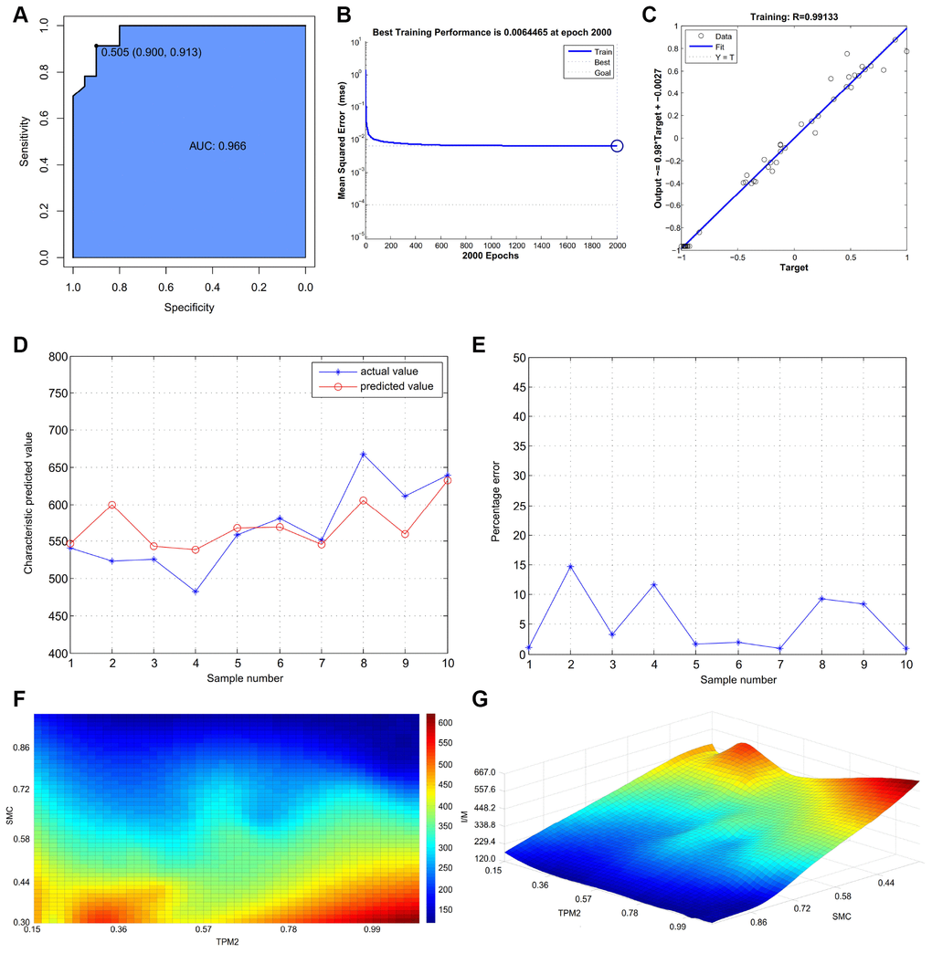 (A) The receiver operator characteristic curve, indicating that the expression level of TPM2 in the own experiment could predict atherosclerosis sensitively and specifically. (B) The neural network prediction model of atherosclerosis intima-media thickness. The best training performance is 0.0064465 at epoch 2000. (C) The final training model of neural network prediction model, and the relativity is 0.99133. (D) Verify the predicted value of the data against the actual value. (E) Verify the data error percentage curve. (F) The high-risk warning range of atherosclerosis intima-media thickness at the level of the planform. (G) The high-risk warning range of atherosclerosis intima-media thickness at the level of the three dimensional stereogram. The color represents the intima-media thickness: the “red” represents “high”, the “blue” represents “low”.