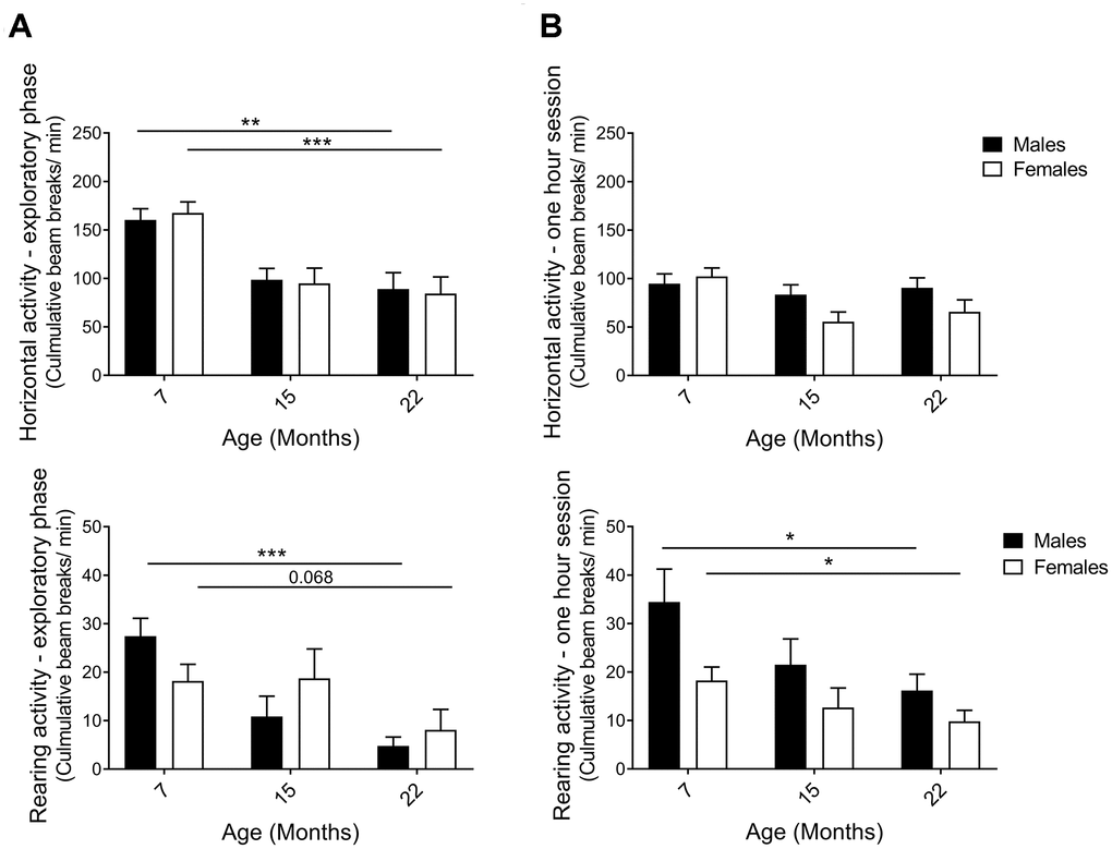 Horizontal and rearing activity per minute in an activity box open field test. (A) Activity in the first 5 minutes – the exploratory phase – decreased with aging for both males and females. The decline in horizontal (pM7-22=0.0065, pF7-22=0.0006; Student’s t-test) and rearing activities (pM7-22=0.0003, pF7-22=0.068; Mann-Whitney) indicated that exploratory behavior was highly affected by age. (B) Activity in 1-hour sessions of the same test. Horizontal activity was not altered from 7 to 22 months of age, whilst rearing activity declined for both female and male hybrids, thus illustrating an aging effect (pF7-22=0.043, pM7-22=0.043; Mann-Whitney). The decrease in horizontal activity observed in 15-month-old females was likely caused by different handling of this particular group due to technical reasons (see Methods). Values are mean ± SEM; nM7=7, nM15=10, nM22=10, nF7=10, nF15=12, nF22=7.