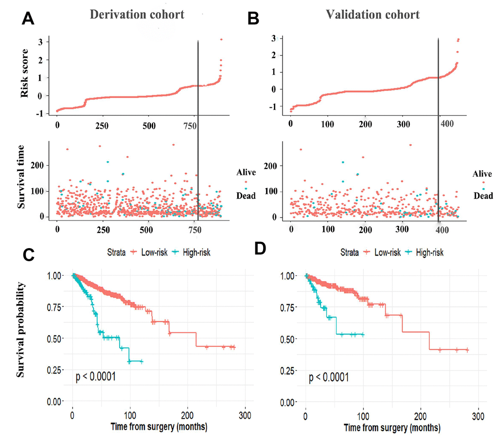 The distribution of risk score, DFS, and DFS status in the derivation cohort (A) and validation cohort (B). The black line indicates the optimal cutoff point of the nomogram score used to stratify patients into the low- and high-risk group. Kaplan–Meier curves of the low- and high-risk patients based on the miRNA-based prognostic model in the derivation cohort (C) and validation cohort (D). DFS, disease-free survival.