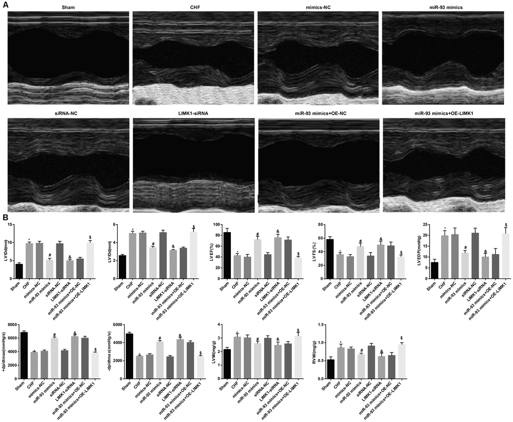 LVIDd, LVIDs, LVEDP, LVMI and RVMI levels were decreased and LVEF, LVFS, +dp/dt max and -dp/dt max were increased by up-regulation of miR-93 or downregulation of LIMK1. (A) Comparison of echocardiograms of rats in each group; (B) Comparison of LVIDd, LVIDs, LVEF, LVFS, LVEDP, +dp/dt max, -dp/dt max, LVMI and RVMI in each group; * P P P P 