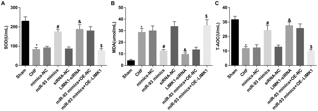 MDA level was promoted while SOD and T-AOC levels were inhibited by up-regulation of miR-93 or downregulation of LIMK1. (A) Comparison of plasma SOD content in each group; (B) Comparison of plasma MDA content in each group; (C) Comparison of plasma T-AOC content in each group; *P P P P 