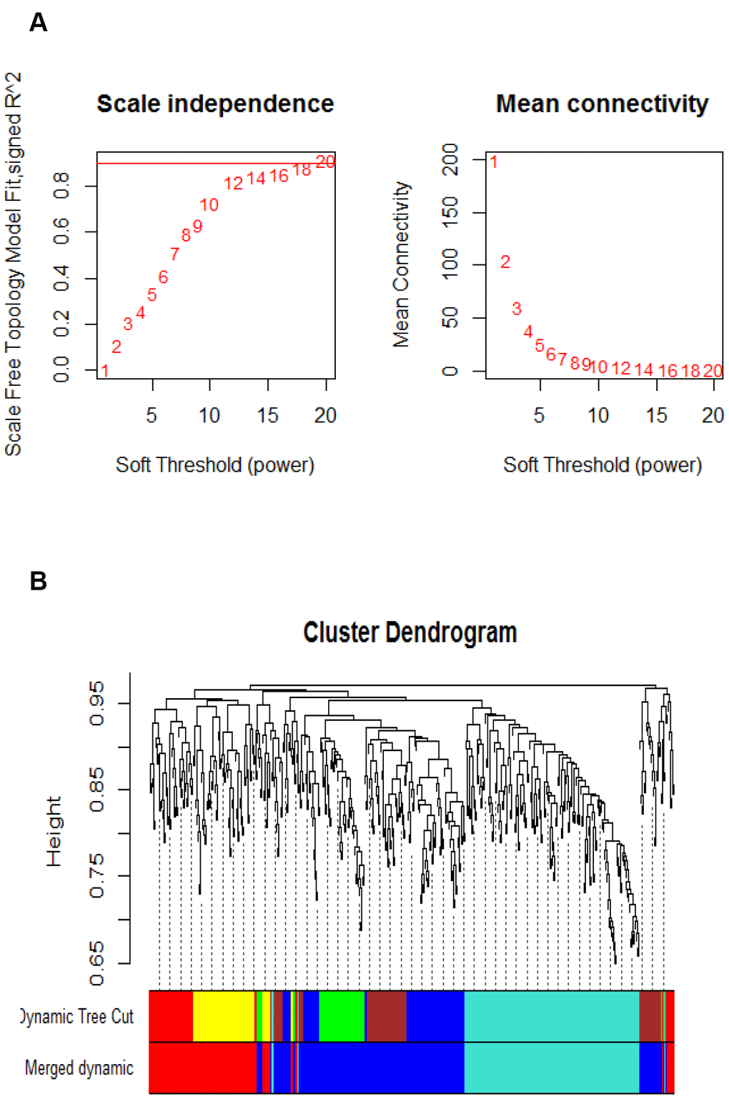 Parameter analysis of inferred co-expression network and modules. (A) A scaling factor beta determination based on the scale-free topology criterion. (B) Hierarchical clustering of genes in significant modules. The colors are assigned to each module by the Dynamic Tree Cut algorithm.