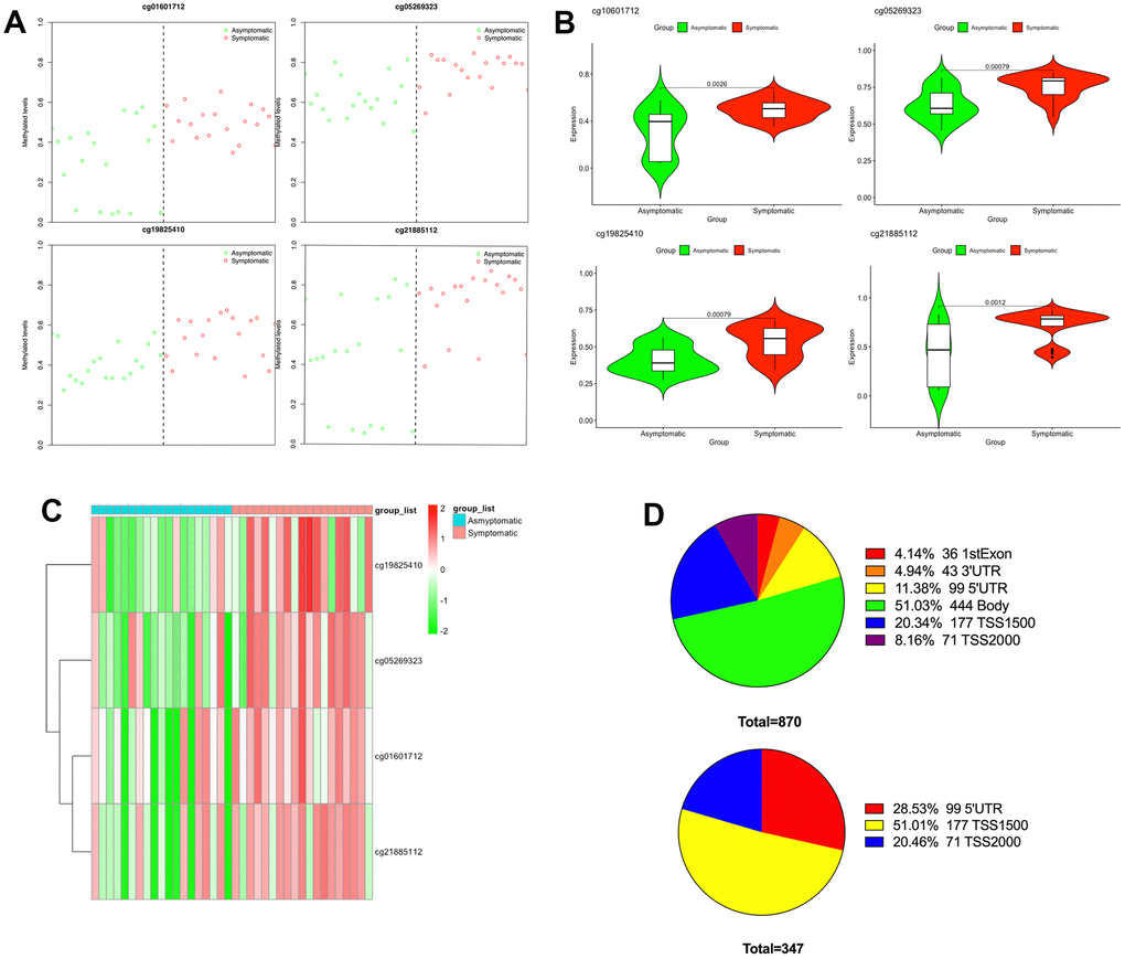 Differential methylation between symptomatic and asymptomatic samples. (A) Methylation levels of the 4 CpGs in asymptomatic (green circle) as well as symptomatic (red circle) samples from the GEO; (B) The differences in methylation levels of the 4 CpGs in asymptomatic and symptomatic patients; (C) Heat map indicating methylation of the 4 CpGs in asymptomatic and symptomatic patients; (D) Promoter region distribution of differentially methylated promoter CpG sites.