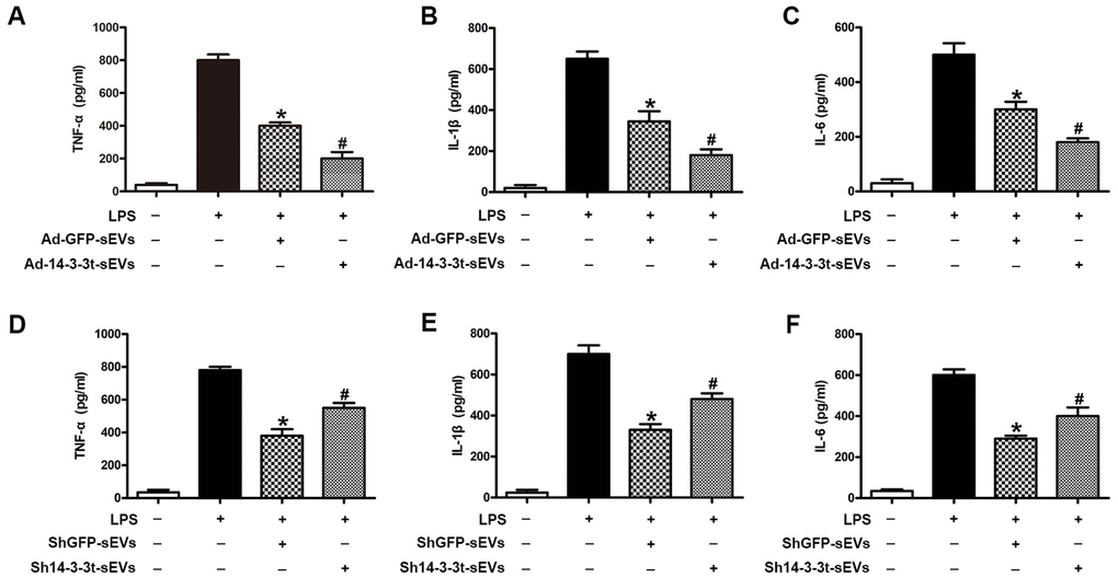 The effect of 14-3-3t overexpression or knockdown in NSC-sEVs on lipopolysaccharide-induced secretion of pro-inflammatory cytokines in microglia cells. (A–C) Following the overexpression of 14-3-3t in NSC-sEVs, ELISA was used to detect the release of the pro-inflammatory cytokines, TNF-a, IL-1β and IL-6 in microglia supernatants. (D–F) After 14-3-3t was knocked-out in NSC-sEVs, ELISA was used to detect the release of the pro-inflammatory cytokines, TNF-a, IL-1β and IL-6 in microglia supernatant. * p 