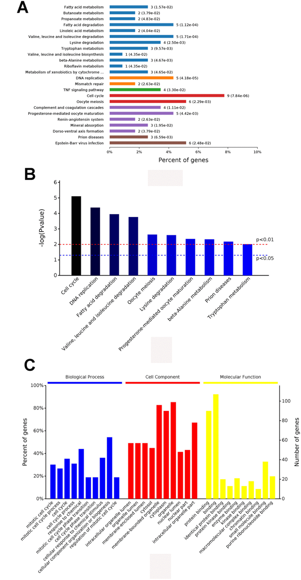 The results of the GO (A) and the KEGG pathway enrichment analyses (B and C) for the identification of DEGs in HCC.