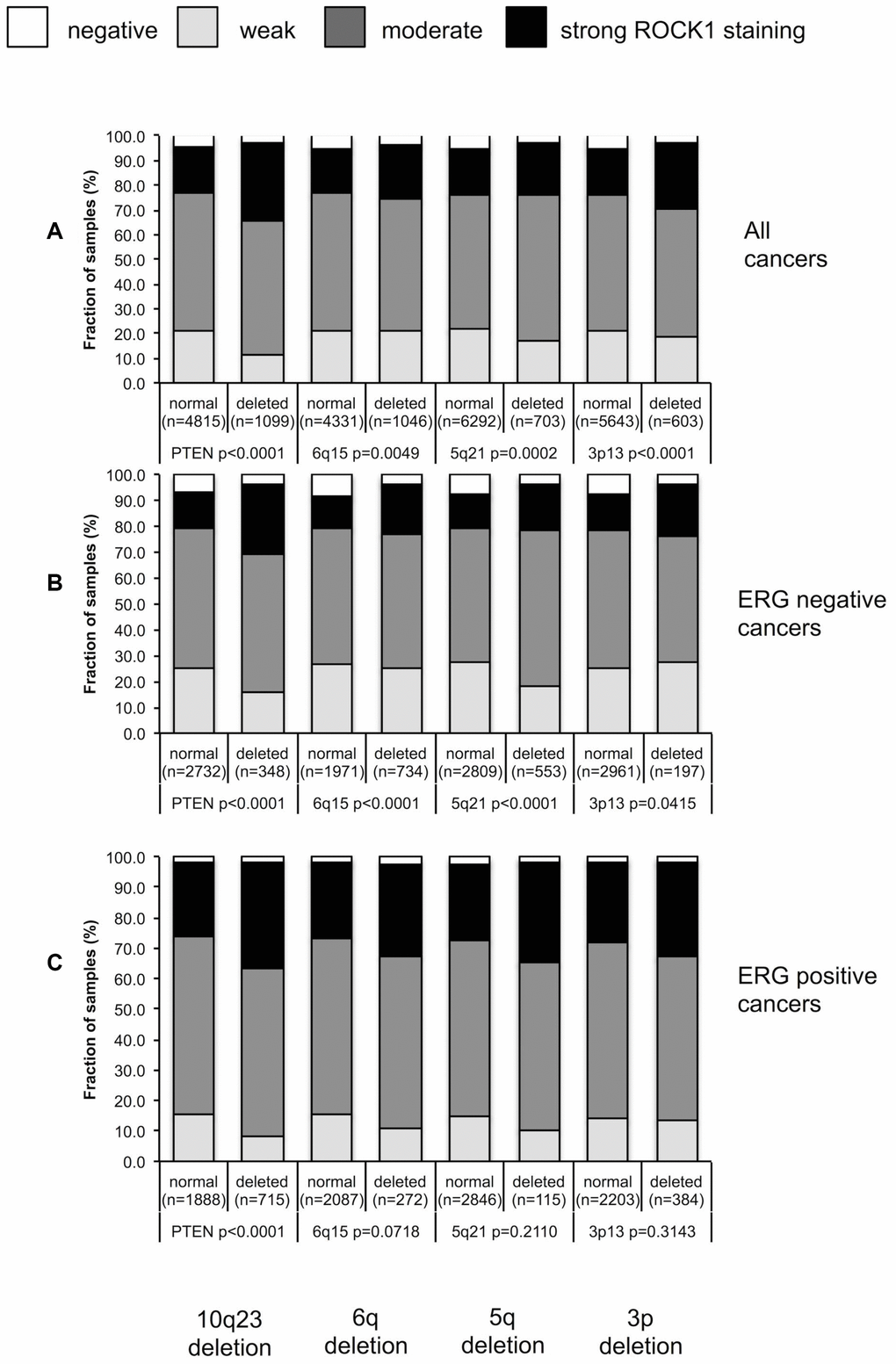 Association between ROCK1 staining and 10q23 (PTEN), 5q21 (CHD1), 6q15 (MAP3K7), 3p13 (FOXP1) deletions in (A) all cancers, (B) ERG negative cancers and (C) in ERG positive cancers.