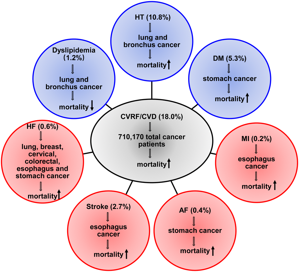 Summary of the impact of the specific CVRF or CVD on mortality for the general cancer patients and the top six cancer types patients. HT, hypertension; DM, diabetes mellitus; MI, myocardial infarction; HF, heart failure; AF, atrial fibrillation.