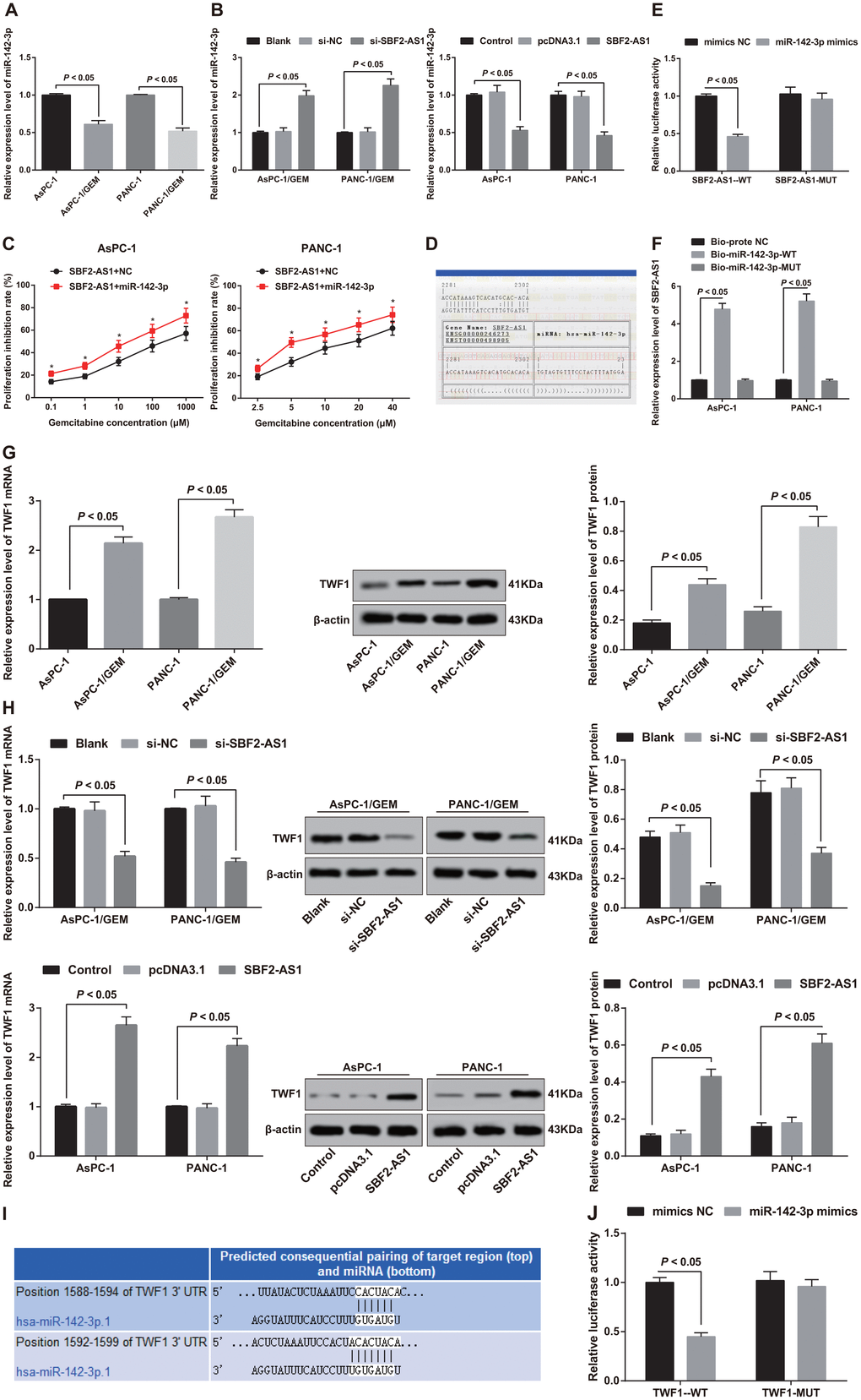 Analysis of binding relationship between SBF2-AS1 and miR-142-3p, and expression of TWF1 in parent cells and corresponding drug resistant cells and validation of targeting relationship between miR-142-3p and TWF1. (A) Detection of the expression of miR-142-3p in parental and drug-resistant pancreatic cancer cells by RT-qPCR. (B) Detection of the expression of miR-142-3p in different cells after intervention of SBF2-AS1 by RT-qPCR. (C) Detection of gemcitabine sensitivity in parental cells overexpressing miR-142-3p by MTT assay. (D) Bioinformatics website predicts binding sites of SBF2-AS1 and miR-142-3p. (E) Dual luciferase reporter gene assay verifies the regulatory relationship between SBF2-AS1 and miR-142-3p. (F) RNA-pull down assay to verify the binding relationship between SBF2-AS1 and miR-142-3p in pancreatic cancer cells. (G) Detection of TWF1 mRNA and protein expression in parental cells and corresponding drug-resistant cells by RT-qPCR and western blot analysis. (H) RT-qPCR and western blot analysis used to detect the expression of TWF1 in transfected cells. (I) Bioinformatics software predicts the targeting relationship between miR-142-3p and TWF1. (J) Luciferase activity determination validates the targeting relationship between miR-142-3p and TWF1. Repetitions = 3; Data was analyzed using the t test or one-way ANOVA.