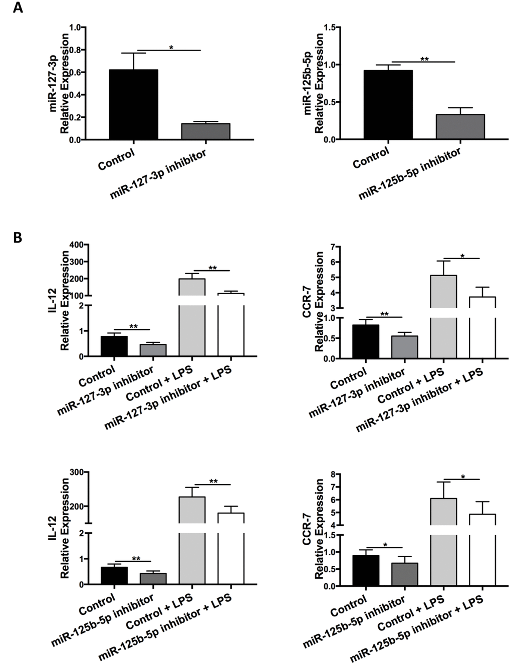 Inhibition of miR-127-3p and miR-125b-5p decreased M1 macrophage polarization. BMDMs were transfected with miR-127-3p inhibitor/control RNA or miR-125b-5p inhibitor/control RNA and stimulated with or without LPS (100 ng/ml) 6 h later. (A) Confirmation of successful transfection of miR-127-3p inhibitor and miR-125b-5p inhibitor was determined via qRT-PCR. Data are presented as mean ± SEM, n = 4-5. *p p B) Levels of the M1 markers IL-12 and CCR-7 in BMDMs at 24 h after LPS treatment were analyzed via qRT-PCR. Data are presented as mean ± SEM, n = 6–10. *p p 