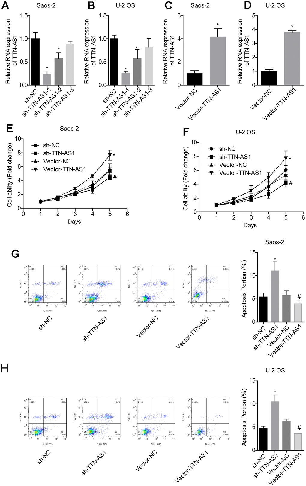 lncRNA TTN-AS1 promoted cell viability and inhibited apoptosis. (A–D) QPCR was used to detect the expression level of lncRNA TTN-AS1. (E, F) The cell viability of each group of cells was detected by the CCK-8 method. (G, H) The apoptosis rate of each group of cells was tested using the CCK-8 method. *P #P 