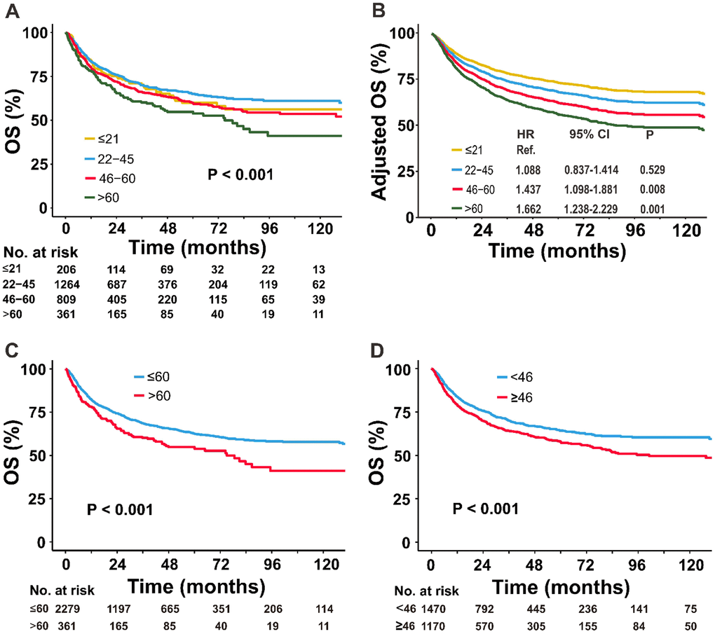 Comparison of OS between the different age groups. (A) Univariate and (B) multivariate analyses of the OS of patients stratified by age into four groups; (C) univariate analysis of the OS of patients stratified by age into two groups: ≤60 versus >60 years; and (D) 