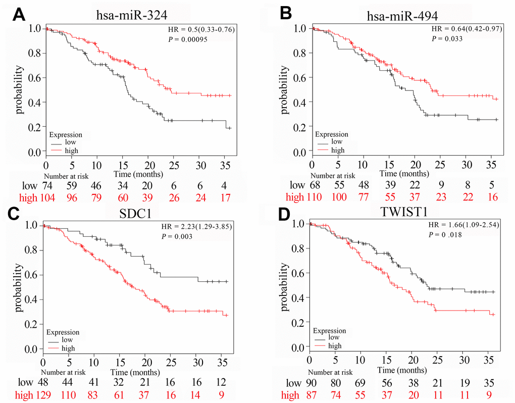 The survival curves of hub genes and their related miRNAs based on Kaplan Meier. (A–D) Transcription levels of hsa-miR-324, hsa-miR-494, SDC1 and TWIST1 are significantly related to the overall survival of patients with PAAD (P P value 