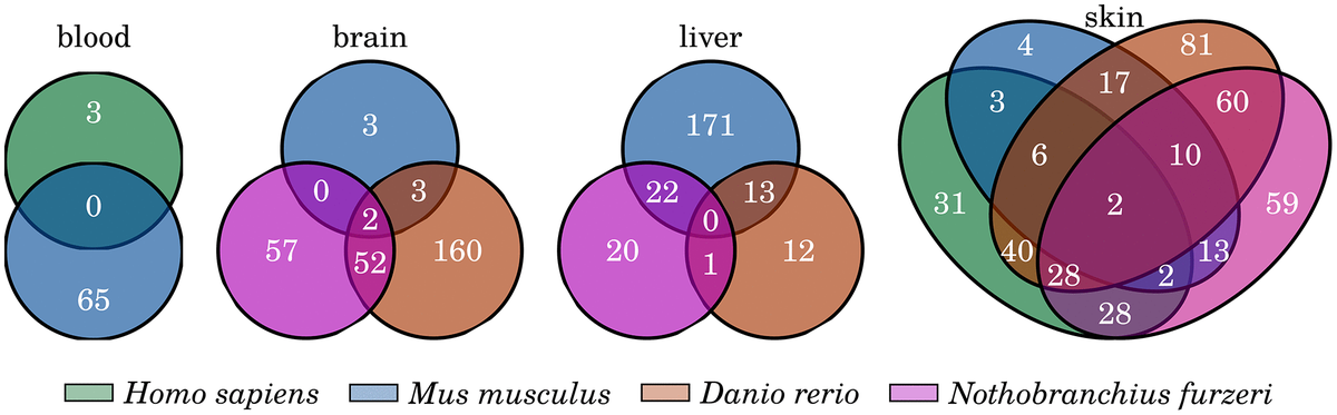 class="figure-viewer-img"