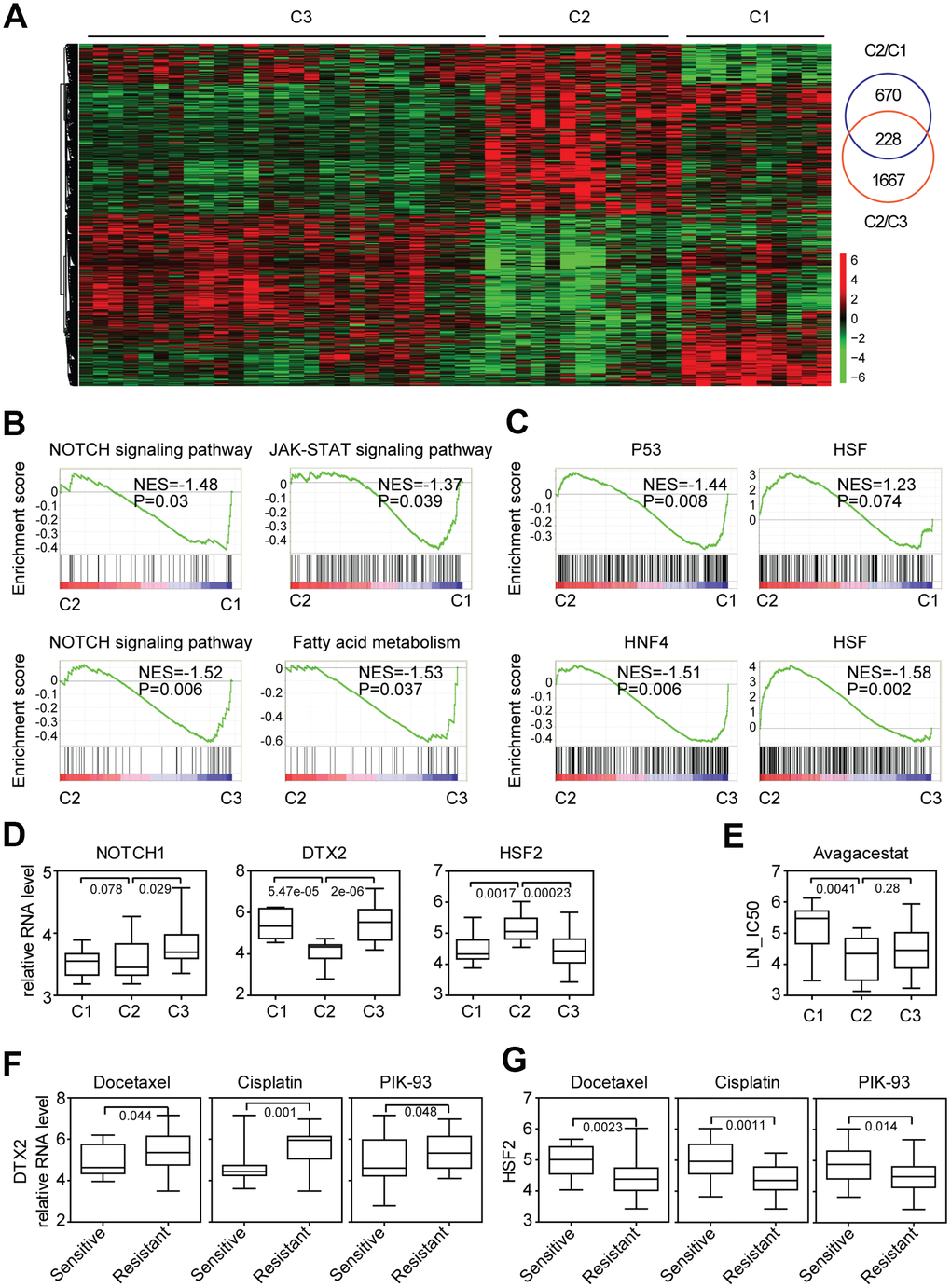 Characteristics of gene expression and functional annotation of colon cancer sub-clusters suggest the different response to NOTCH inhibitor treatment. (A) Un-supervised clustering heatmap showed the genes specifically expressed in cluster2 colon cancer cells. (B) Enrichment plots showed the enriched signaling pathways in cluster2 colon cancer cells. Enrichment of NES and P values were shown. (C) Enrichment plots showed the enriched transcription factors in cluster2 colon cancer cells. (D) Box plots showed the NOTCH1, DTX2 and HSF2 expression in each sub-cluster of colon cancer cells. (E) Box plots showed the LN-IC50 of NOTCH signaling pathway inhibitor avagacestat in each sub-cluster of colon cancer cells. (F–G) Box plots showed the DTX2 (F) and HSF2 (G) expression in docetaxel, cisplatin, PIK-93 sensitive and resistant colon cancer cells.