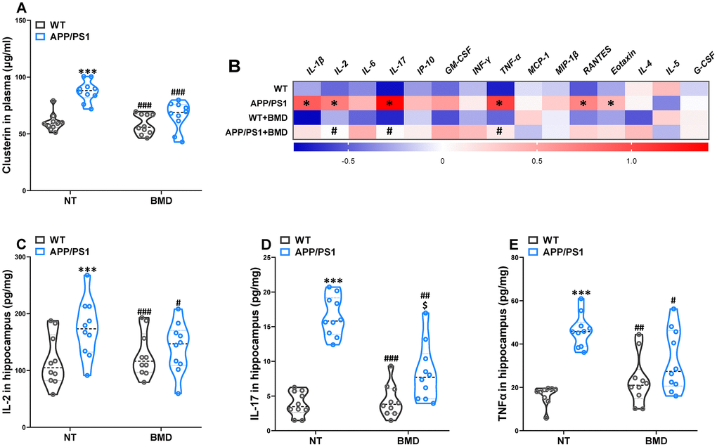 Effects of DMB on the levels of clusterin in plasma and inflammatory status in the hippocampus of WT and APP/PS1 mice. The concentration of clusterin in plasma (A). Heat map of cytokine concentrations (z-score) in the hippocampus (B). * represents a significant difference between WT and APP/PS1 mice, # represents a significant difference between APP/PS1 mice and APP/PS1 mice treated with DMB. The concentration of interleukin (IL)-2 (C), IL-17 (D) and tumor necrosis factor α (TNFα) (E) in the hippocampus. ***P#P##P###P$P