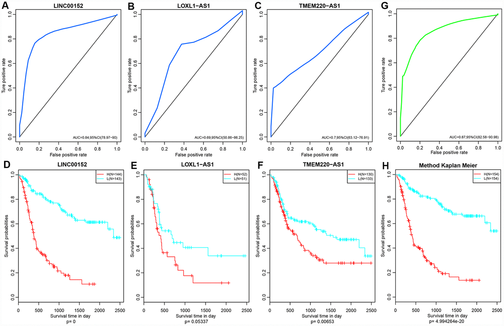 (A–C) ROC curves of three lncRNAs: LINC00152, LOXL1-AS1 and TMEM220-AS1. (D–F) KM Curves of these three lncRNAs. (G) ROC curves of this three-lncRNA model/panel. (H) The prognostic difference KM curve of the samples predicted by three lncRNA-models. Prognostic differences among them suggested that the prognosis of the high-risk group was significantly worse than that of the low-risk group (p 