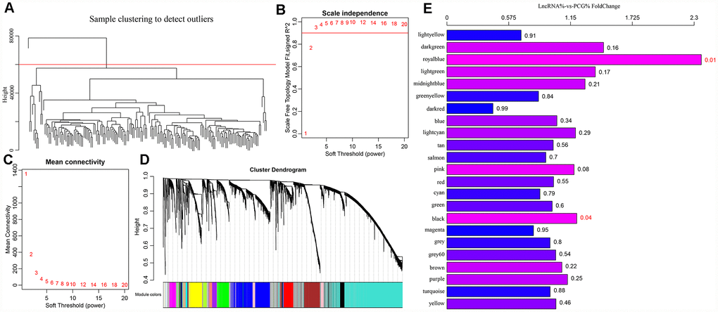 (A) GBM patients were classified into three clusters (C1-C3) which represent the underlying GBM subtypes by integrating multi-omics data using the iCluster. Differentially expressed lncRNAs and mRNAs in the GBM patients and the subtypes were identified. (B–C) Analysis of network topology for various soft-thresholding powers. (D) WGCNA analysis was then performed to identify co-expression lncRNA modules (M1−M23) using GBM transcriptome which contain GBM-related lncRNAs and mRNAs followed by functional enrichment analysis of the different modules. (E) The relative multiple histogram of lncRNA ratio and PCG ratio in 23 modules, the p value is on the right, the horizontal axis represents the multiple of lncRNA ratio and PCG ratio in the module, and the vertical axis represents the modules.