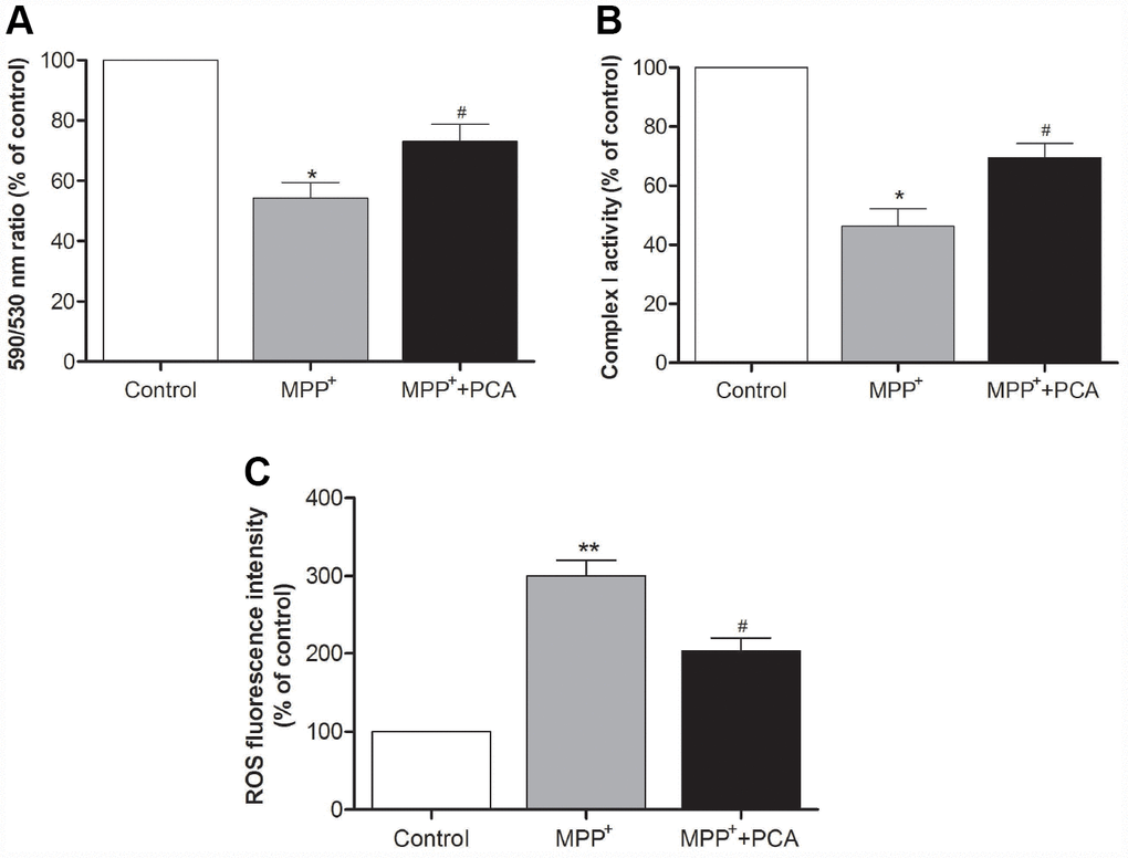 PCA improved mitochondrial function and inhibited ROS production in MPP+-incubated SH-SY5Y cells. (A) Mitochondrial membrane potential (MMP) was measured using the JC-1 probe through the 590 nm/530 nm fluorescence emission ratio. (B) Activity of mitochondrial complex I in each group. (C) Mitochondria-generated ROS levels in each group. Data were presented as mean ± S.D., n = 6; **P*P vs. control group; #Pvs. MPP+group.