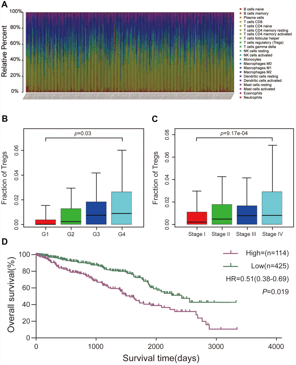 CIBERSORT analysis and clinical significance of Treg cells in ccRCC. (A) Relative percentage of each type of immune cell in 539 ccRCC samples from TCGA cohort. (B) Proportion of Treg cells in different pathological grades. (C) Proportion of Treg cells in different AJCC stages. (D) Overall survival between patients with high and low proportions of infiltrating Treg cells.