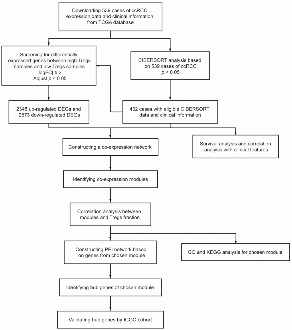 Flowchart detailing the study design and samples at each stage of the analysis.