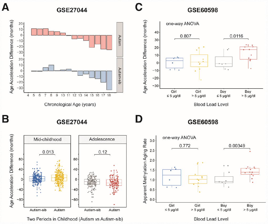 Age acceleration in children with diseases. (A) Histograms of the mean value distribution of the age acceleration difference in autistic children and their unaffected siblings. The pink columns indicate the children with autism, while the blue columns indicate their unaffected siblings (‘Autism-sib’). (B) Boxplot comparing the age acceleration difference between autistic children and their unaffected siblings during two periods of childhood. The blue box and the yellow box indicate the autistic children and their unaffected siblings, respectively, in mid-childhood. The gray box and the red box indicate the autistic children and their unaffected siblings, respectively, in adolescence. (C) Boxplot comparing the age acceleration differences of boys and girls with different blood lead levels. A cutoff value of 5 μg/dL was used for the blood lead level. The jitter points represent the age acceleration differences of individual samples. (D) Boxplot comparing the apparent methylation aging rates of boys and girls with different blood lead levels. A cutoff value of 5 μg/dL was used for the blood lead level. The jitter points represent the apparent methylation aging rates of individual samples.