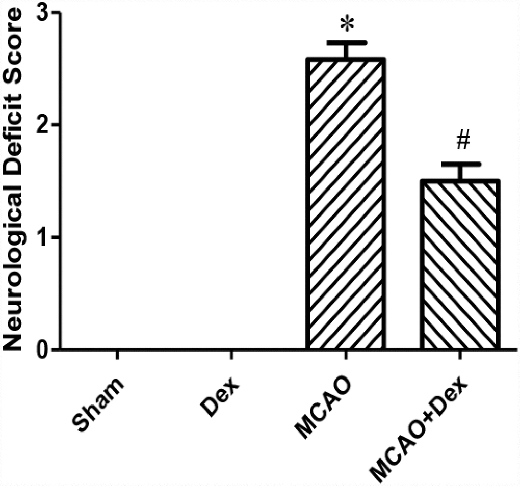 Dexmedetomidine improved neurological function after CIRI. Neurological deficit scores. Data are shown as the mean ± standard error of the mean (SEM), n = 12 per group. *P #P 