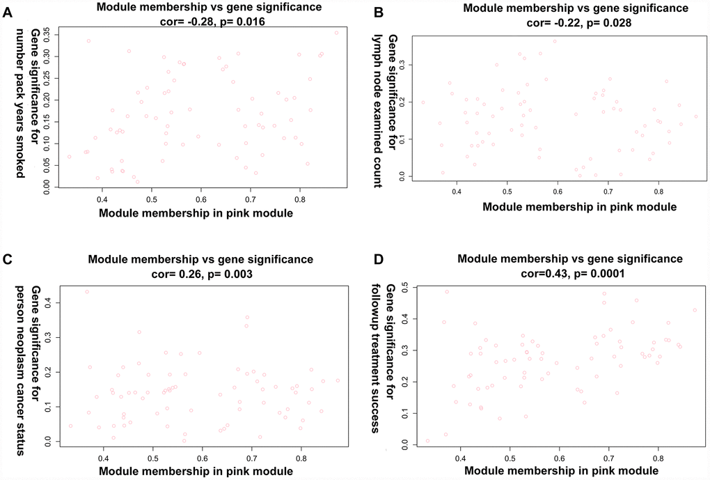 A scatterplot of Gene Significance (GS) vs. Module Membership (MM) in the co-expression Pink module. (A) A scatterplot of Gene Significance (GS) for number of packs per year vs. Module Membership (MM). (B) A scatterplot of Gene Significance (GS) for lymph node count vs. Module Membership (MM). (C) A scatterplot of Gene Significance (GS) for tumor status vs. Module Membership (MM). (D) A scatterplot of Gene Significance (GS) for success of follow-up treatment vs. Module Membership (MM).