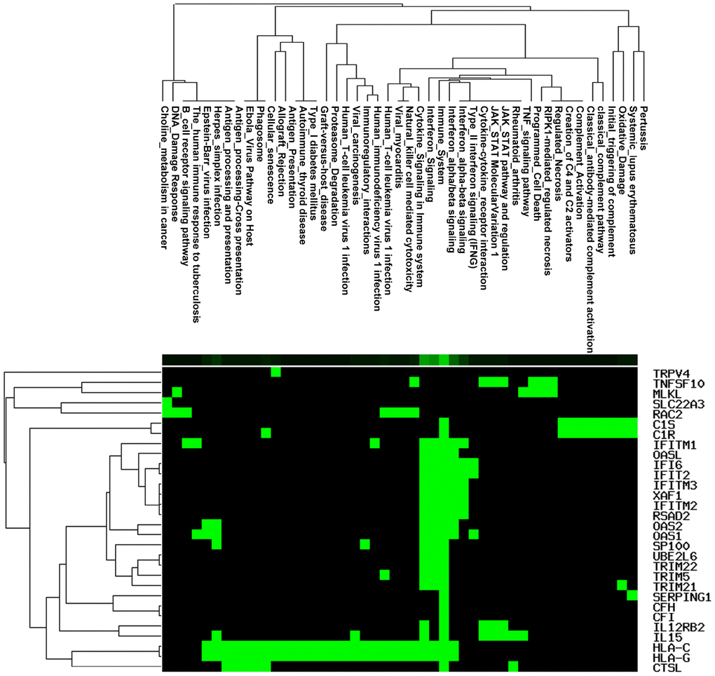 Pathway enrichment analysis involved in the co-expression Pink module.