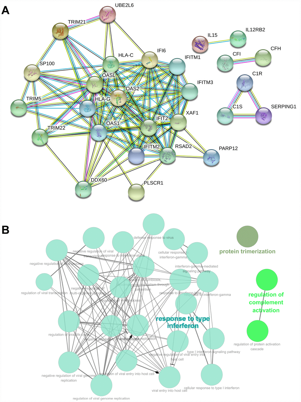 PPI and GO analysis involved in the co-expression Pink module. (A) PPI analysis involved in the co-expression Pink module. (B) GO analysis involved in the co-expression Pink module.