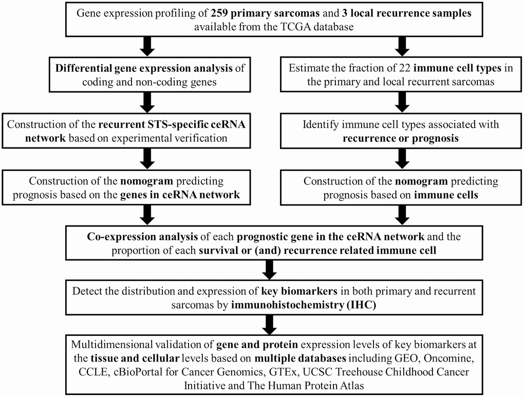 The flow chart of the analysis process. Abbreviations: TCGA: The Cancer Genome Atlas; STS: Soft tissue sarcoma; GEO: Gene Expression Omnibus; CCLE: Cancer Cell Line Encyclopedia; GTEx: Genotype-Tissue Expression; UCSC: University of California, Santa Cruz.