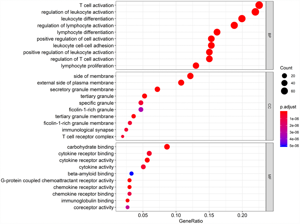 Gene Ontology (GO) analysis of the 384 intersection genes.