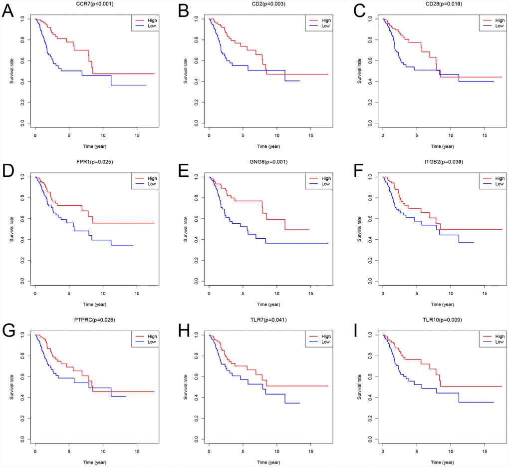 Kaplan-Meier survival curves showing the impact of expression level of 9 random genes with overall survival. Comparison of overall survival in the high (red line) and low (blue line) gene expression groups. P 