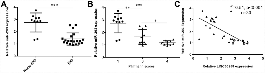 miR-203 expression was downregulated in degenerative NP samples. (A) The expression of miR-203 was determined in 20 degenerative NP tissues and 10 scoliotic NP samples by using qRT-PCR analysis. (B) miR-203 expression decreased gradually along with the grade of exacerbation of disc degeneration. (C) The expression of miR-203 was inversely related with LINC00958 expression in NP samples. *p