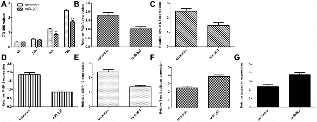 Ectopic expression of miR-203 decreased NP cell growth and inhibited ECM degradation. (A) Elevated expression of miR-203 inhibited NP cell proliferation, which was determined by MTT analysis. (B) The expression of PCNA was determined by using qRT-PCR analysis. (C) Elevated expression of miR-203 suppressed PCNA expression in the NP cells. (D) The expression of MMP-2 was determined by using qRT-PCR assay. (E) The expression of MMP-13 was determined by using qRT-PCR assay. (F) The expression of Col II was determined by using qRT-PCR assay. (G) The expression of aggrecan was determined by using qRT-PCR assay. *p