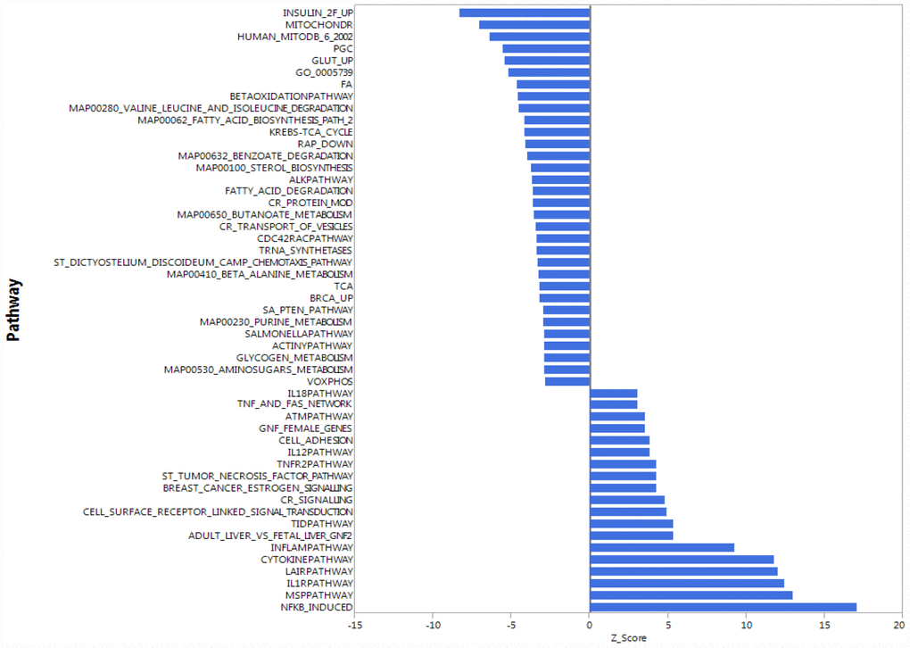 Gene expression analysis showing top 51 up- and down-regulated biological pathways in CD4+ T cells between older (70 to 80 years-old) and younger (20 to 30 years-old) men. Mitochondria-related and oxidative phosphorylation-related pathways were the most down-regulated pathways in older compared to younger donors. Differences of Z-scores between younger and older participants are shown on the X-axis. Each row denotes a different pathway (p ≤ 0.05 and FDR ≤ 0.3). N = 5 young, 19 old donors.