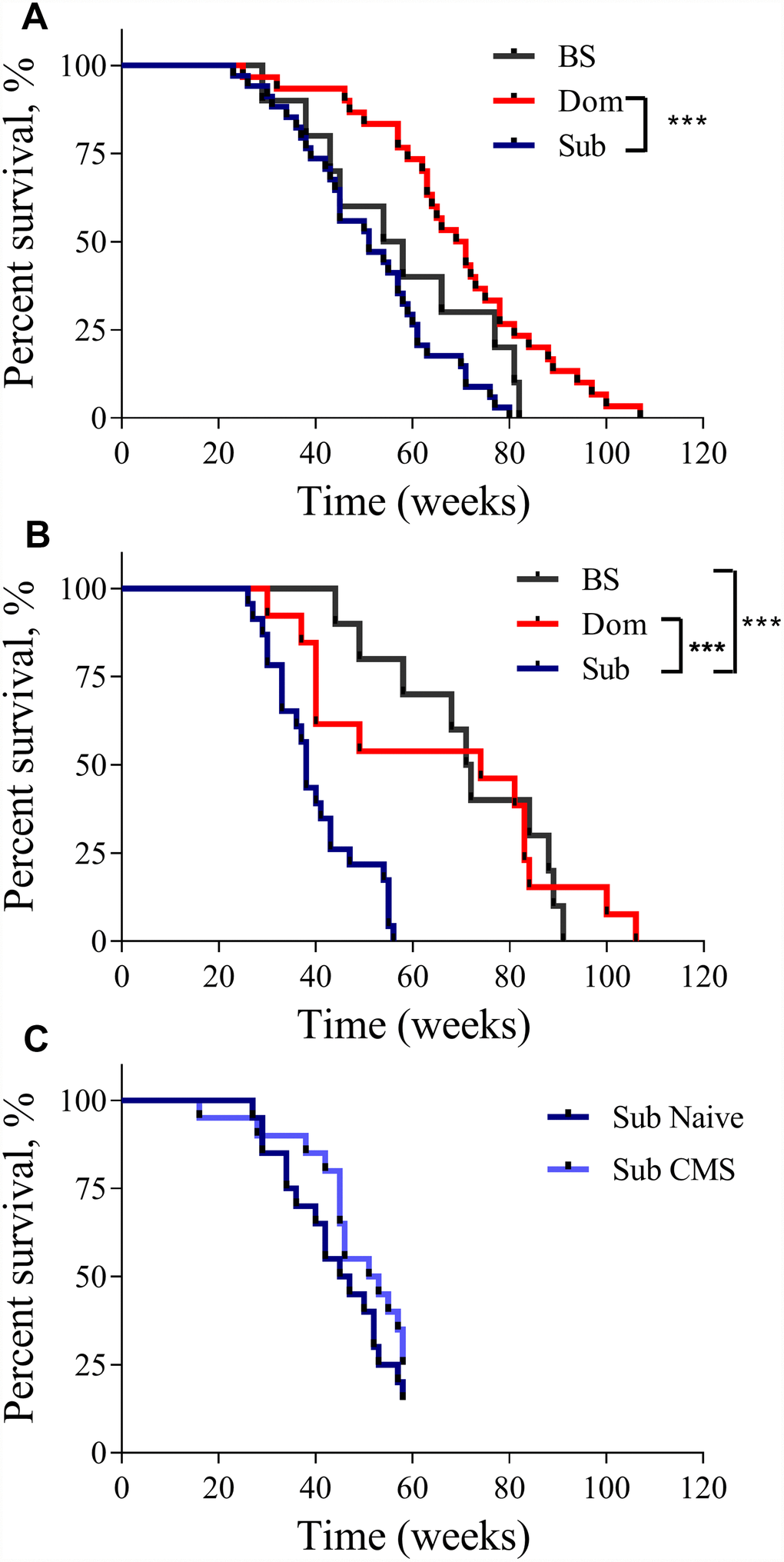 The lifespan of Dom, Sub and BS mice. The Kaplan-Meier survival curves of Dom, Sub and BS mice in (A) males (log-rank test, pB) females (log-rank test, pC) Sub naïve (n=20) and exposed to CMS (n=20) males. * - pp